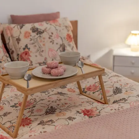 Mrs Cerca Centro Con Parking Apartment Granada